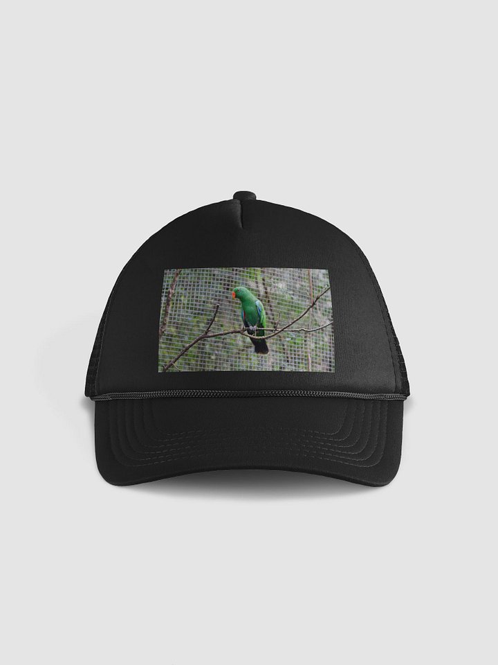 Vibrant Parrot Mesh Trucker Hat product image (1)
