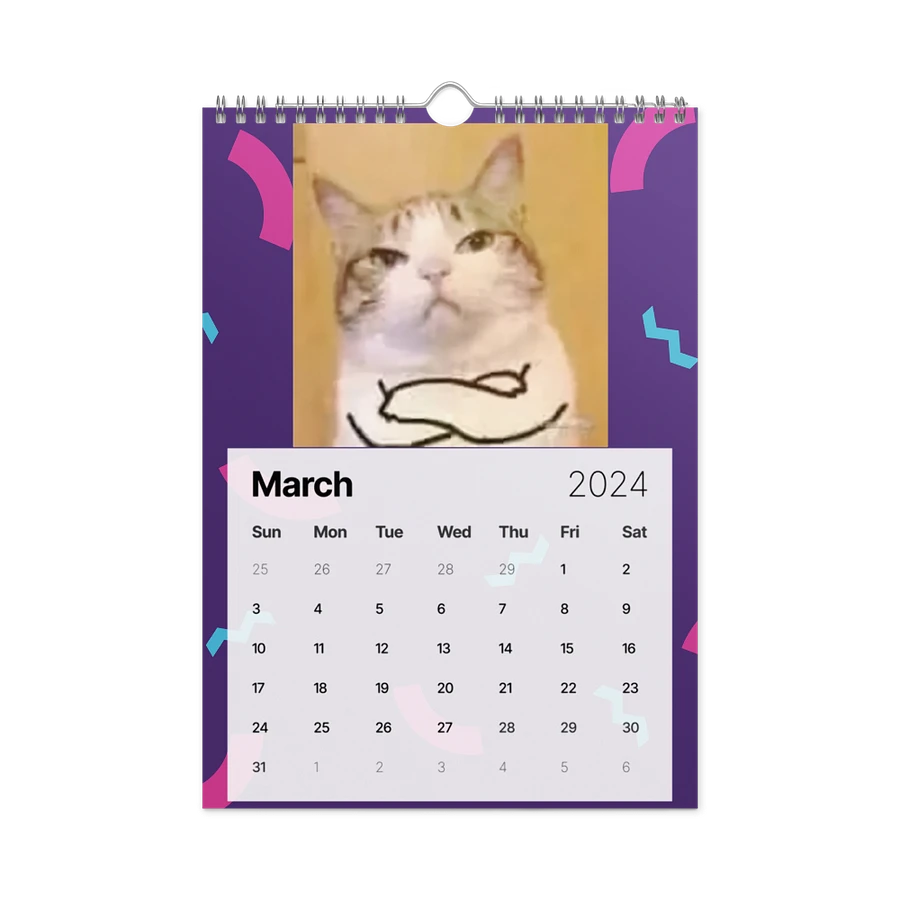 Wall Calendar (2024): Meme Cats product image (13)