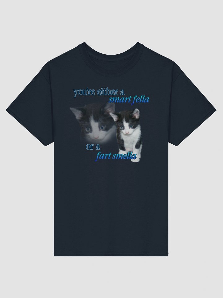 Smart Fella or a Fart Smella - Cat T-shirt product image (86)