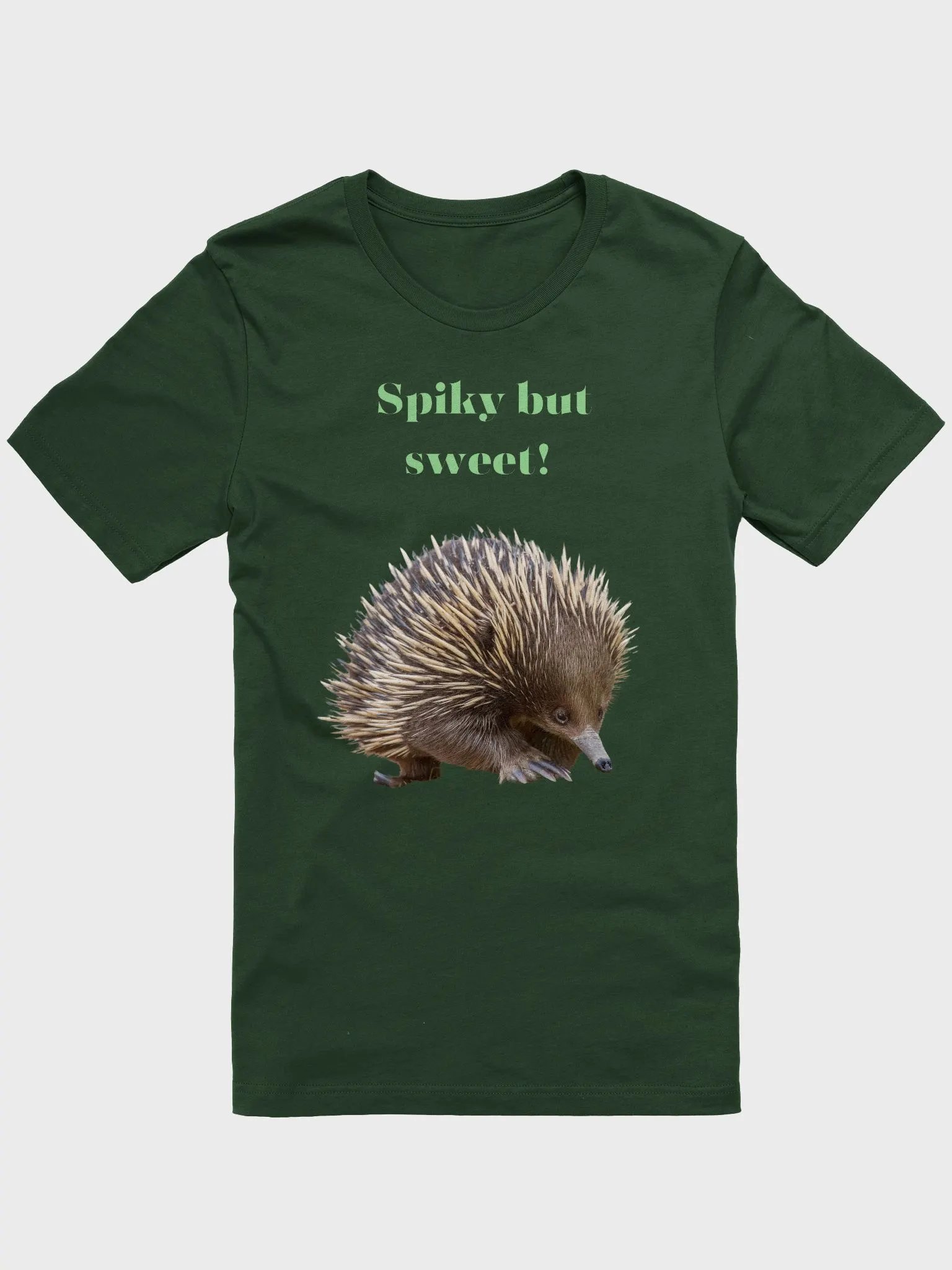 Spiky but Sweet Echidna T-Shirt product image (1)