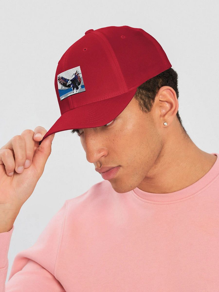 Fitted Cap in Red, White or Blue product image (17)