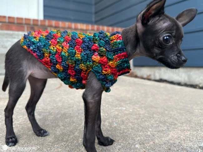 Tiny Berry Dog Sweater Crochet Pattern product image (5)