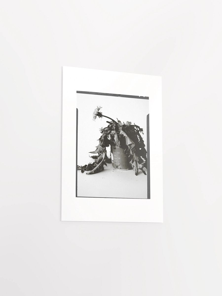 James C'Avedon Print • "Mud Portrait #1" product image (3)