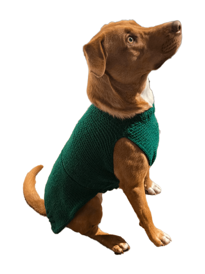 Dogo Sweater!!! Made to Order product image (1)