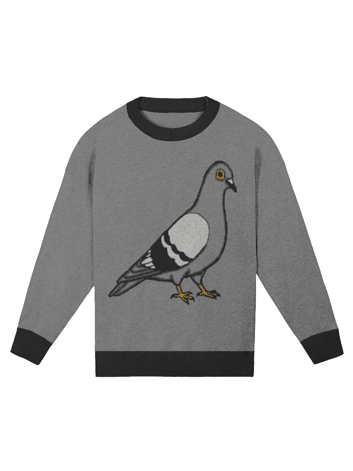 Urban Pigeon Sweater – Jacquard Knit Relaxed Fit Crewneck Pullover product image (2)