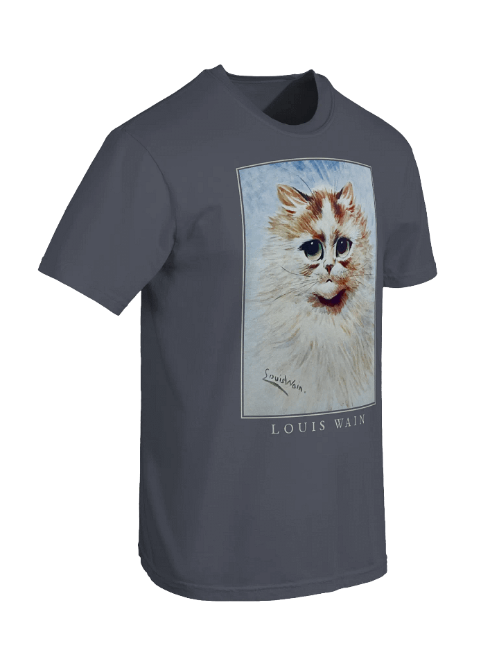 Louis Wain Fluffy Cat T-Shirt – Relaxed Fit Heavyweight Unisex Cotton T-Shirt product image (2)