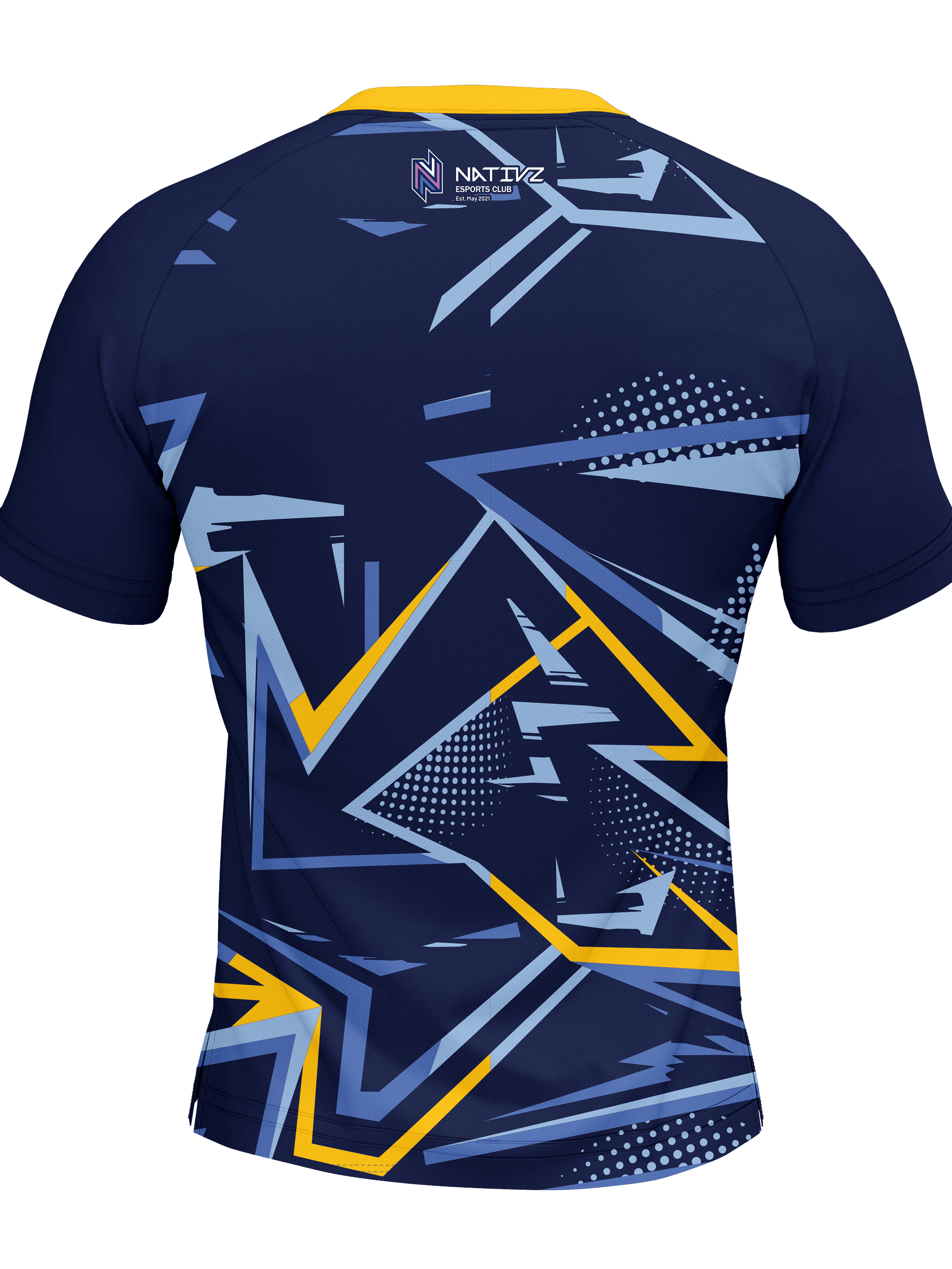 DCU Player Jersey product image (2)