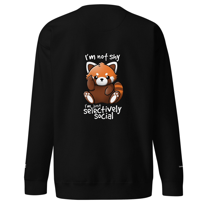 SHY Panda Long Sleeve product image (1)