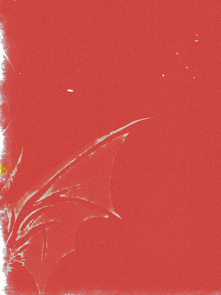 V2 product image (1)
