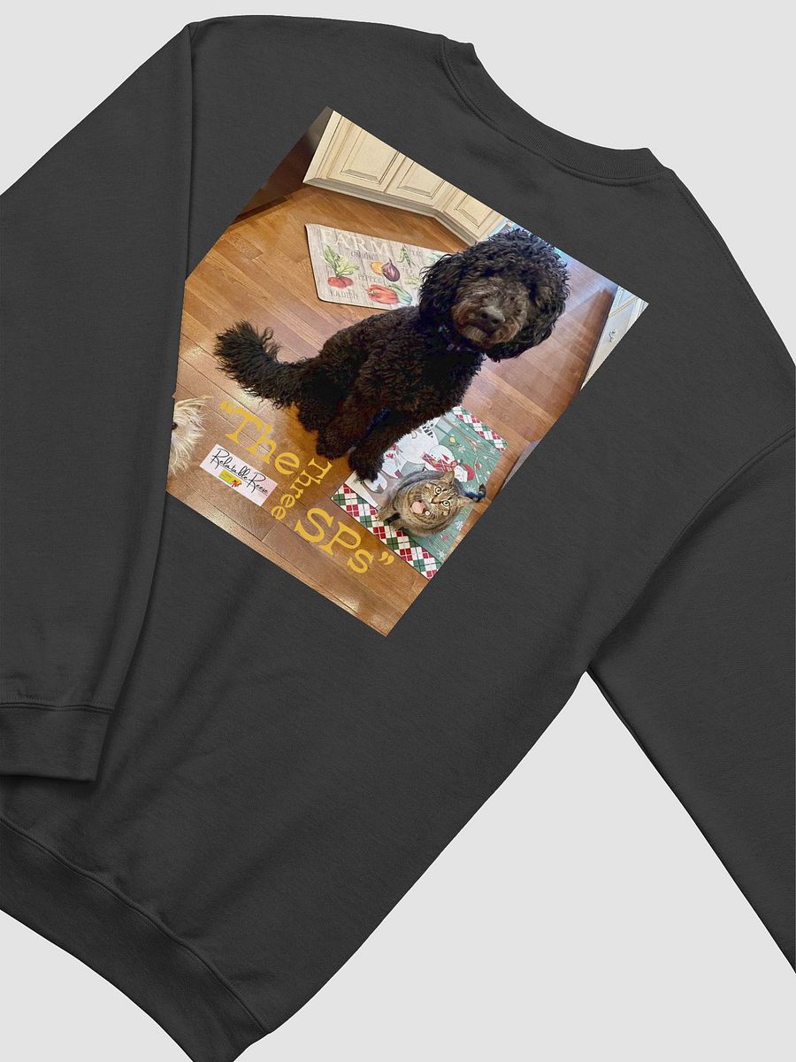 The 3 SPs Sweatshirt product image (44)