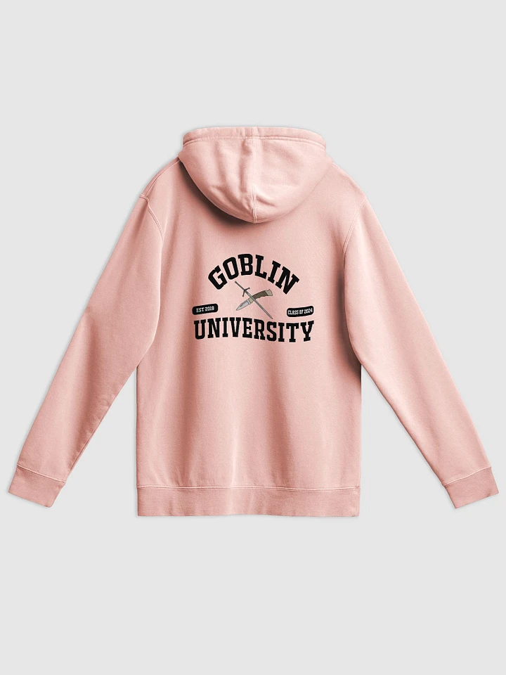 Goblin University BACK OF HOODIE Black product image (11)