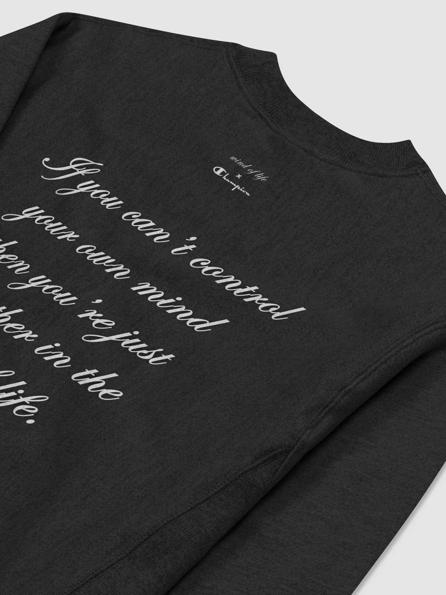 Wind of Life X Champion® Cotton Sweatshirt product image (4)
