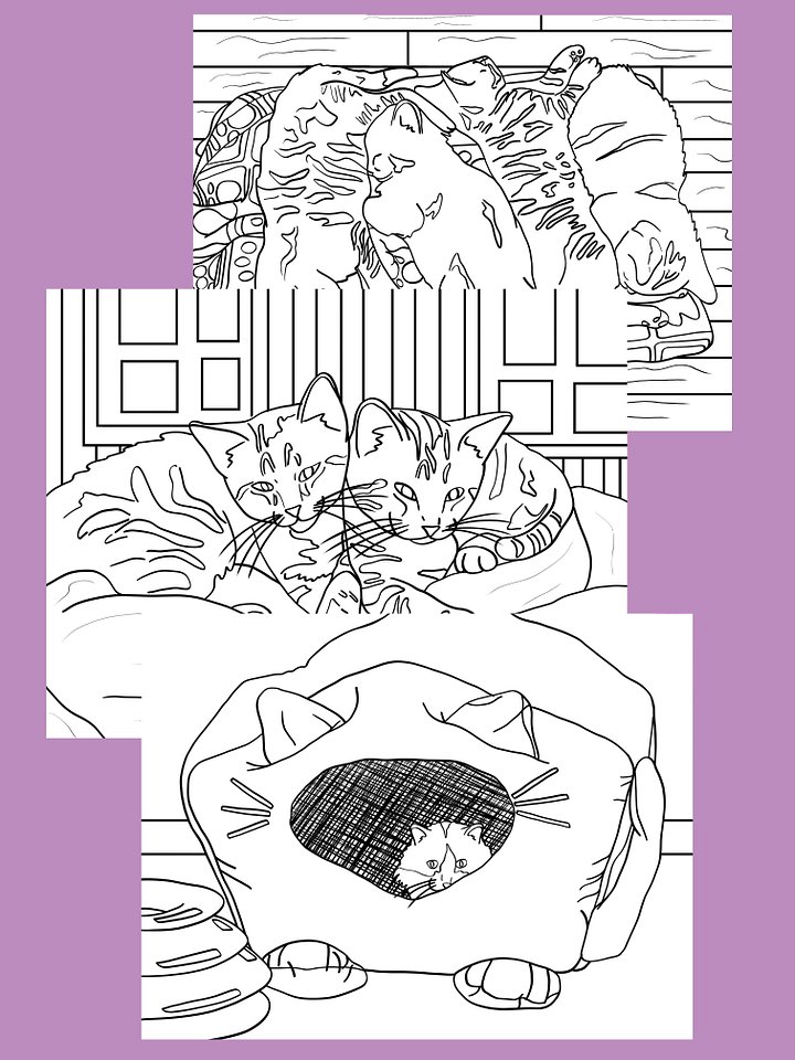 Cats & Kittens Coloring Book - 12 Pages product image (2)