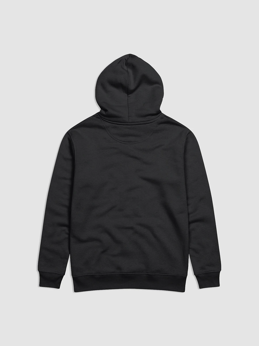 Looking At The Moon Hoodie product image (4)