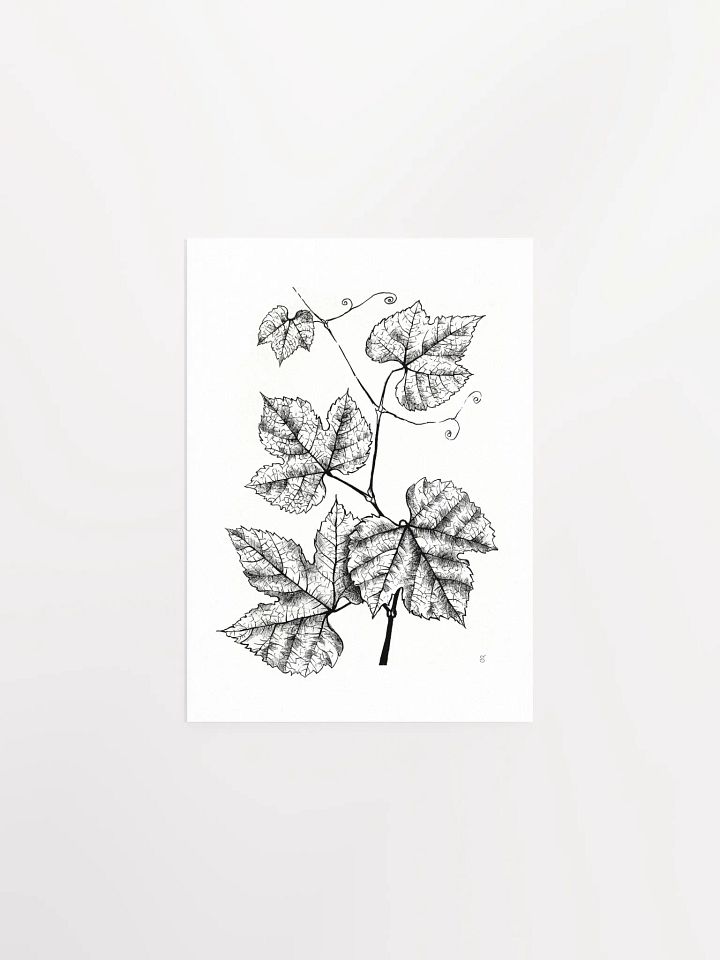 Enchanted Vine: Premium Matte Poster - Grape Leaves product image (1)