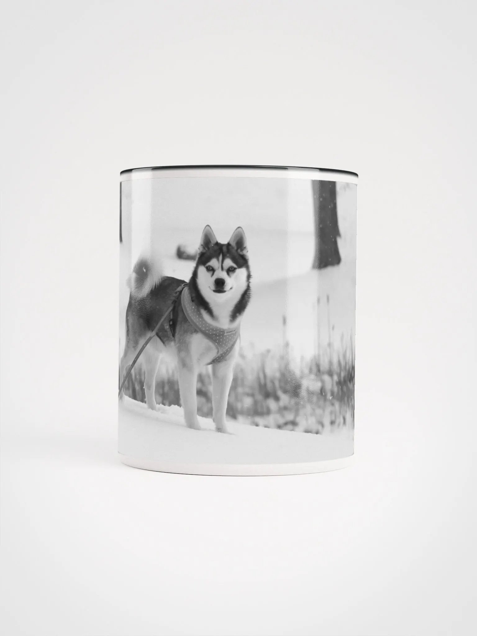 Cute Klee Kai Puppy - Black & White product image (1)