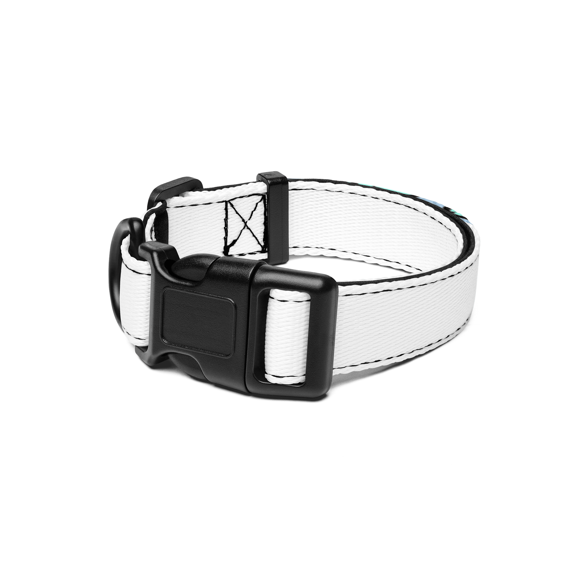 pet collar product image (1)