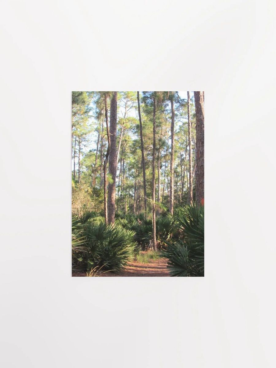Florida Woods product image (8)