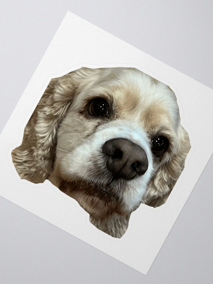 WESLEY STICKER!! product image (2)
