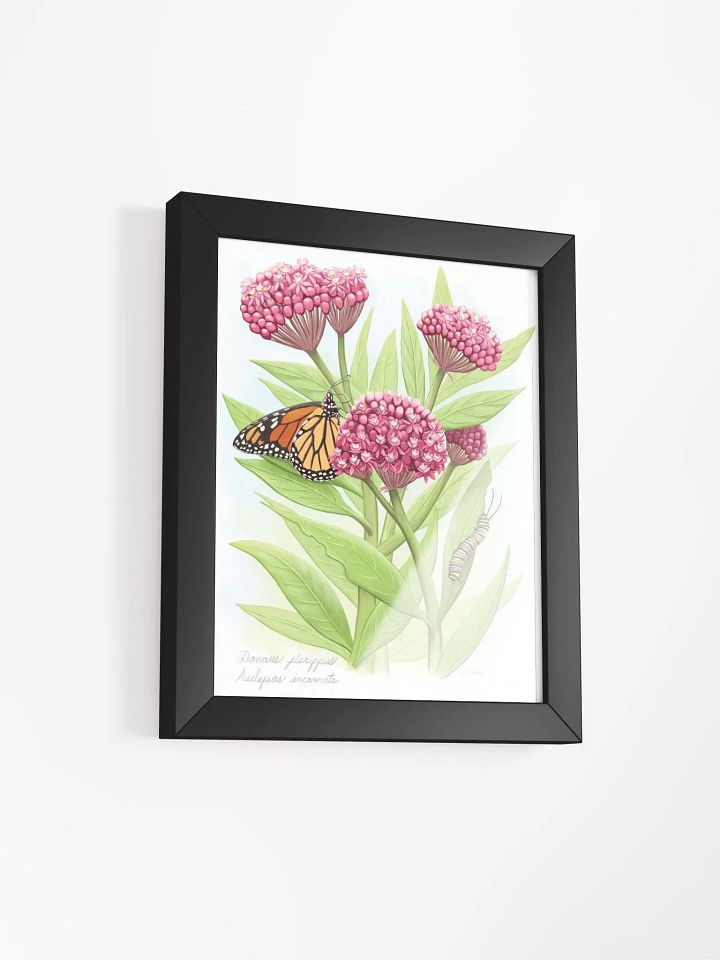 Monarch & Milkweed product image (22)