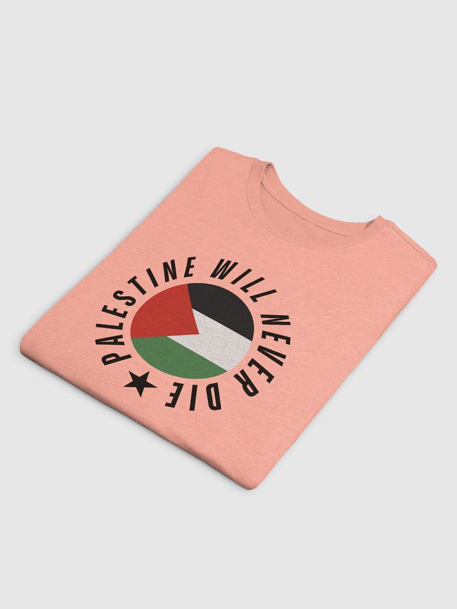 Palestine Flag Circle Tee | Palestine will never die product image (13)