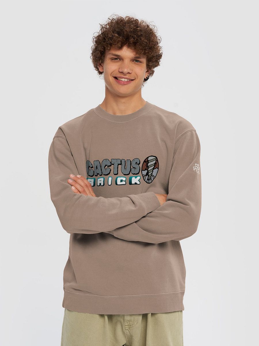 Cactus Brick (Sweater) - Rocky product image (21)
