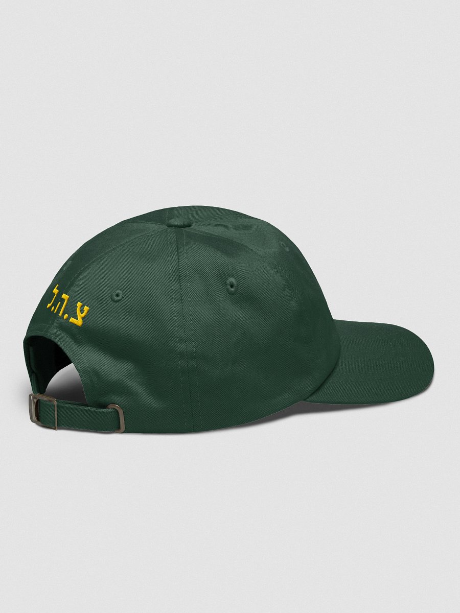ISRAEL DEFENSE FORCES Classic Cap product image (7)