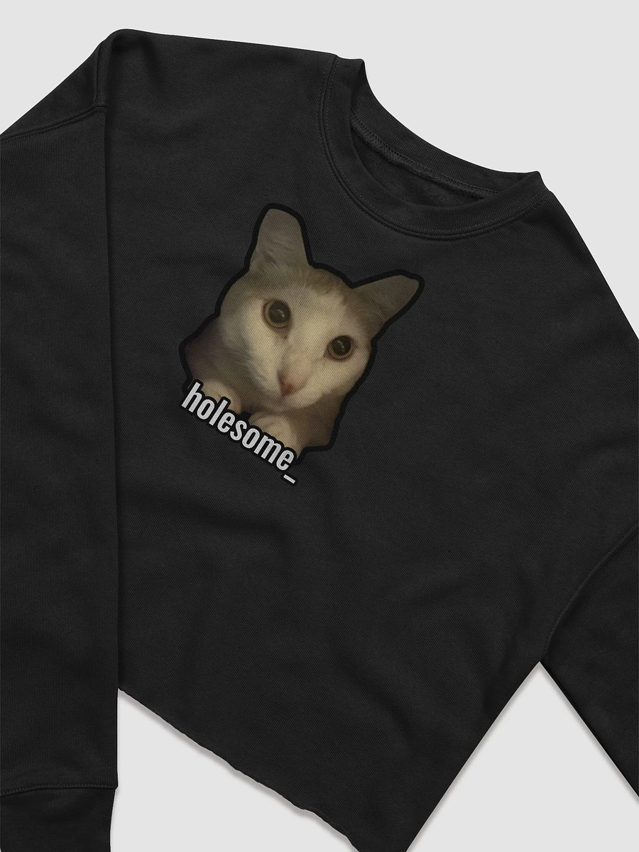 holesome Nico cropped sweatshirt product image (13)