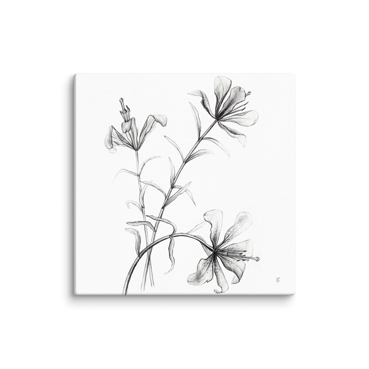 Blossom Canvas Collection - Wild Elegant Flowers product image (1)