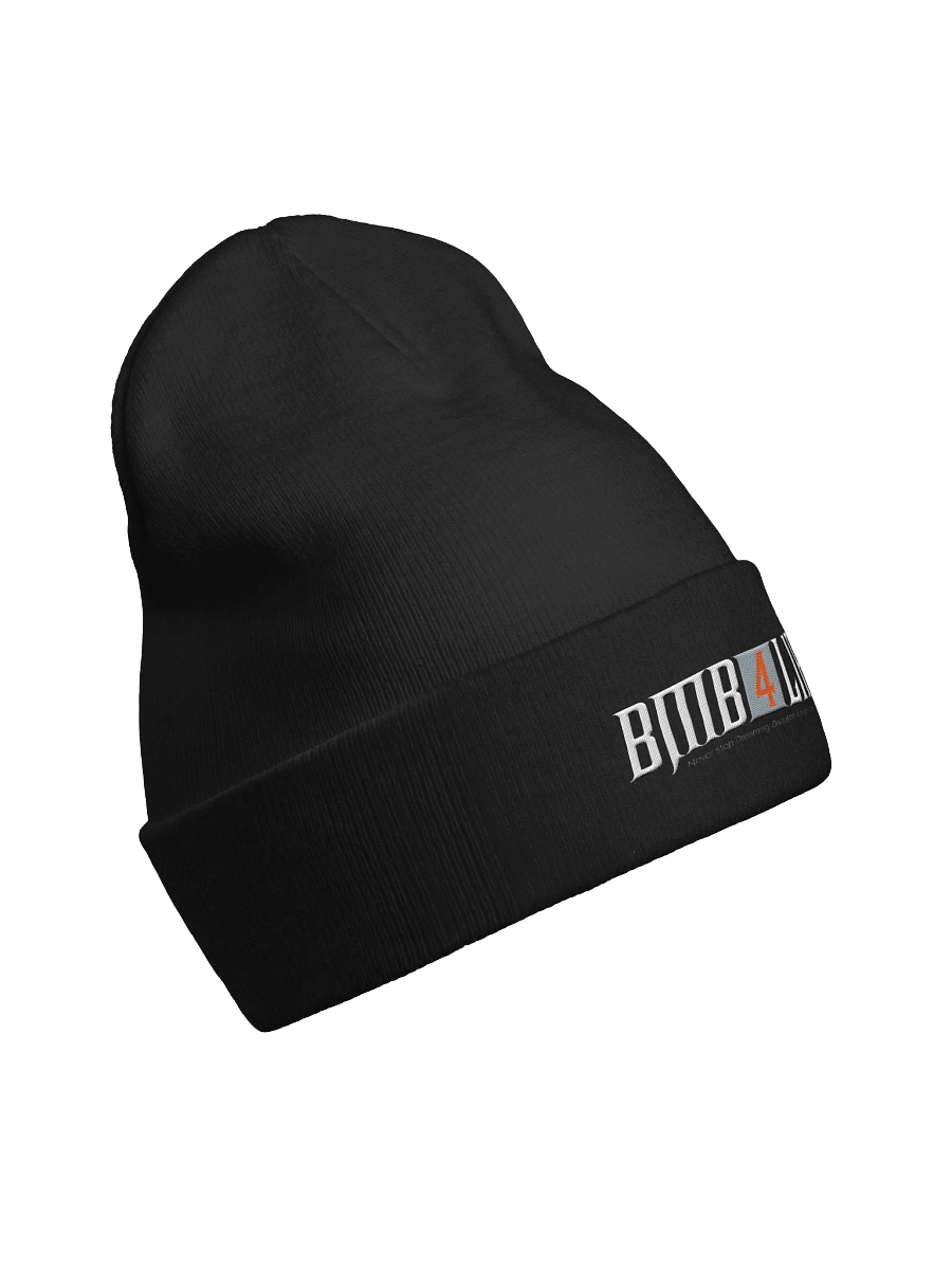 4ever Knit Beanie product image (3)