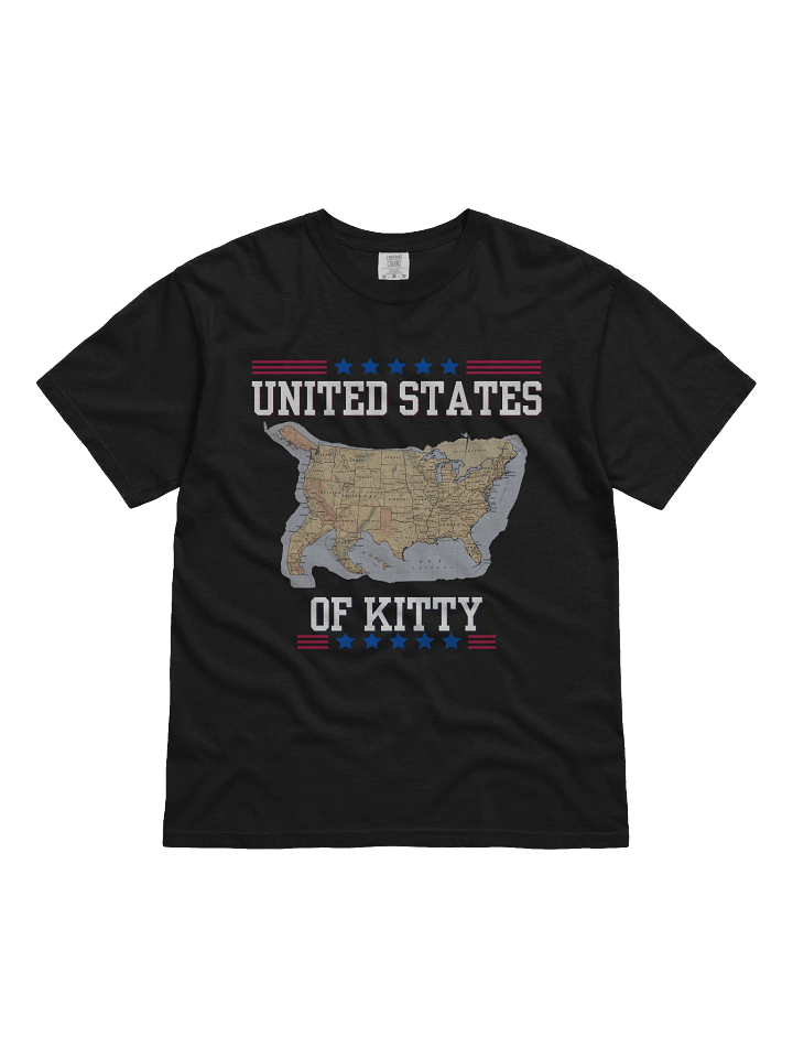 United States of Kitty Tee product image (6)