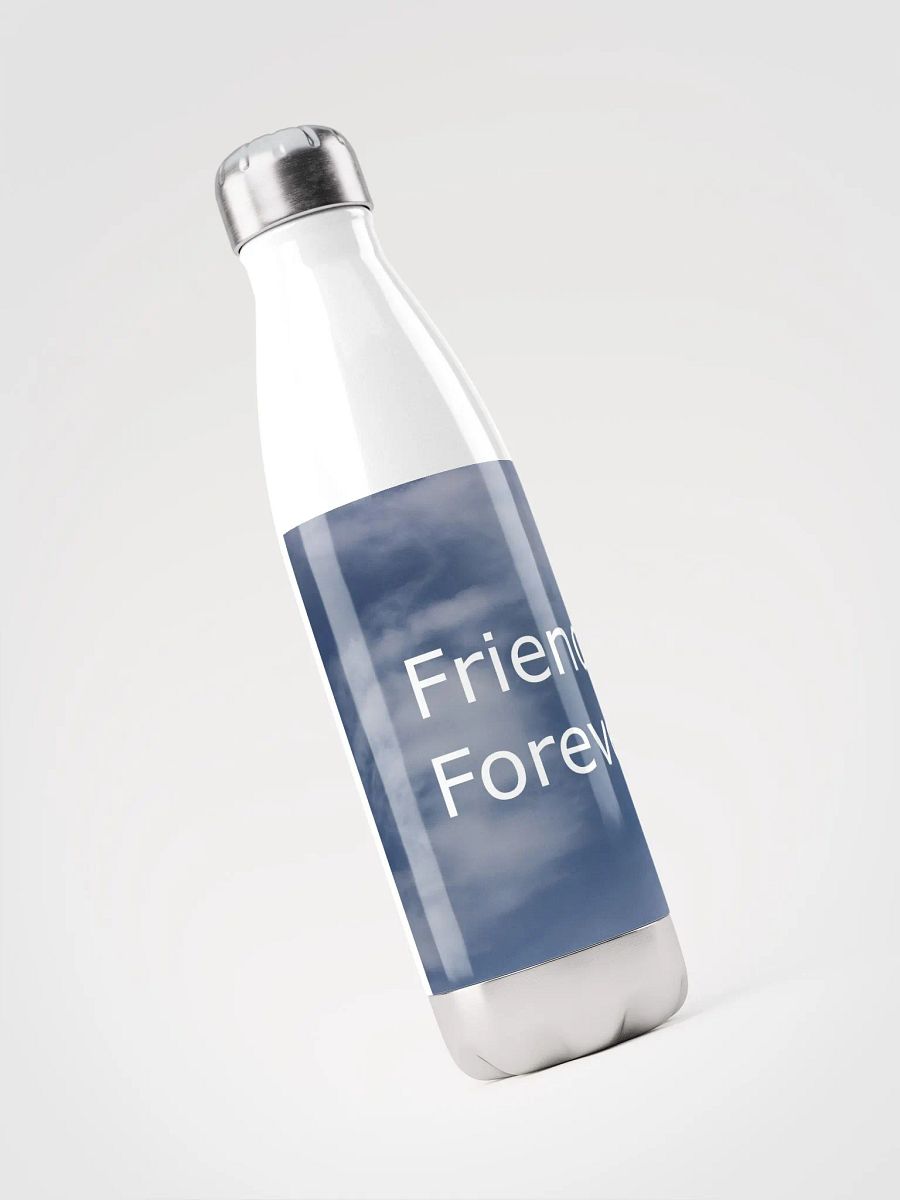 Friends Forever Water Bottle product image (3)