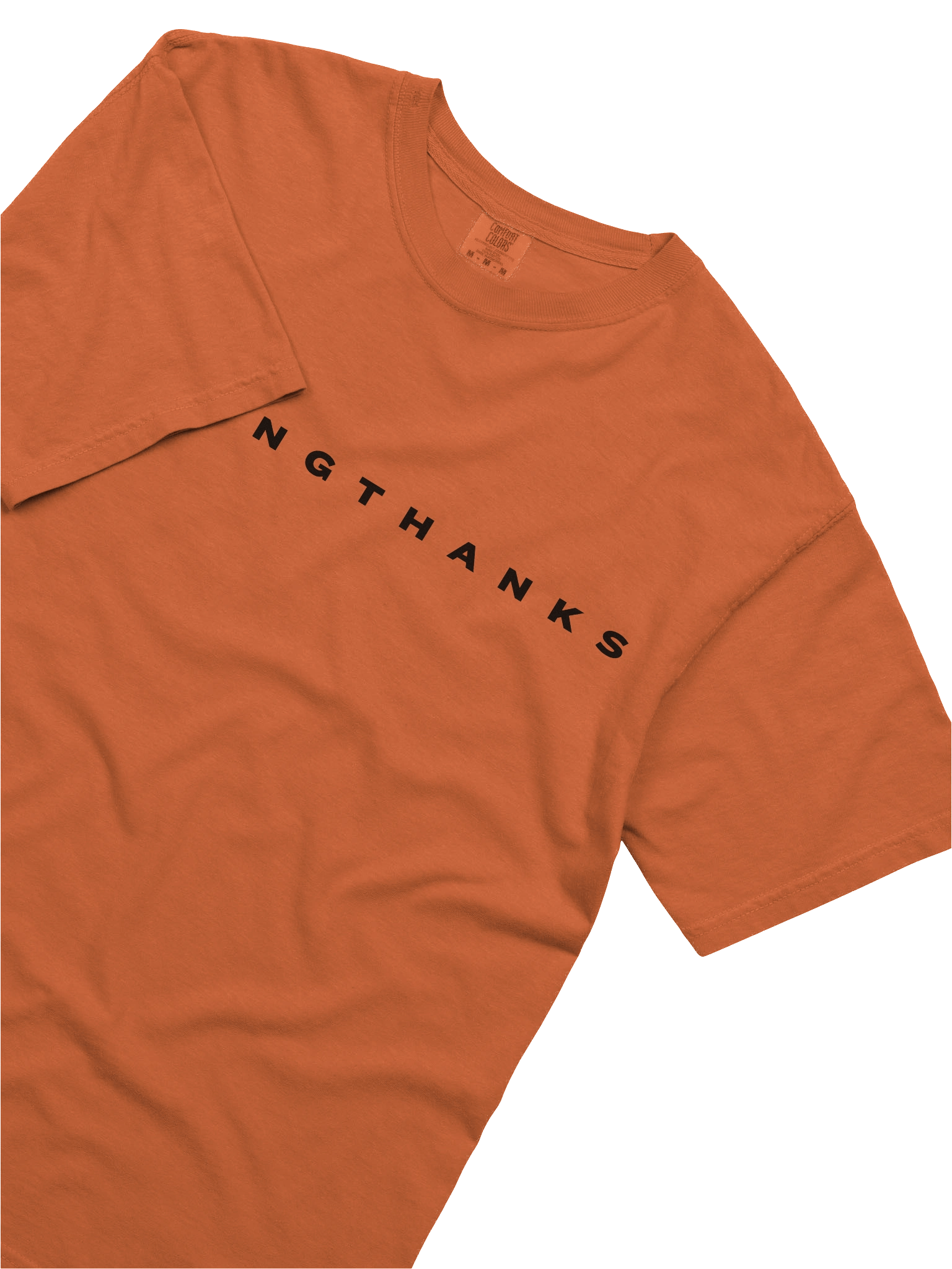 Plain Thanksgiving _ T Shirt product image (5)