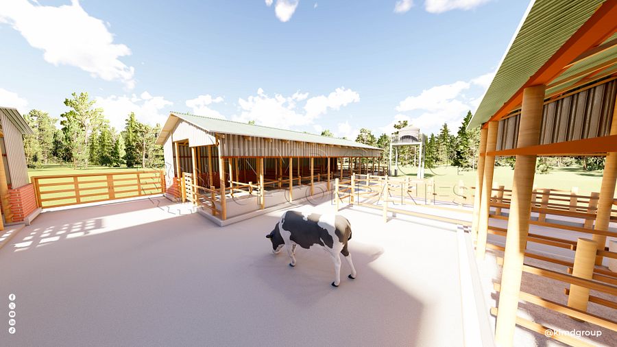 40 Dairy Cow Design Plan product image (10)