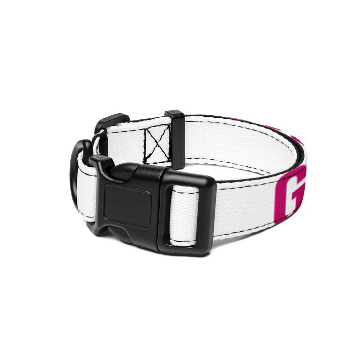 Good Girl Collar product image (1)