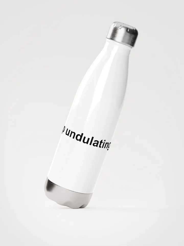 Stop Undulating Water Bottle product image (2)