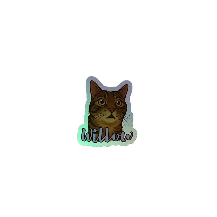 Willow holographic sticker product image (2)