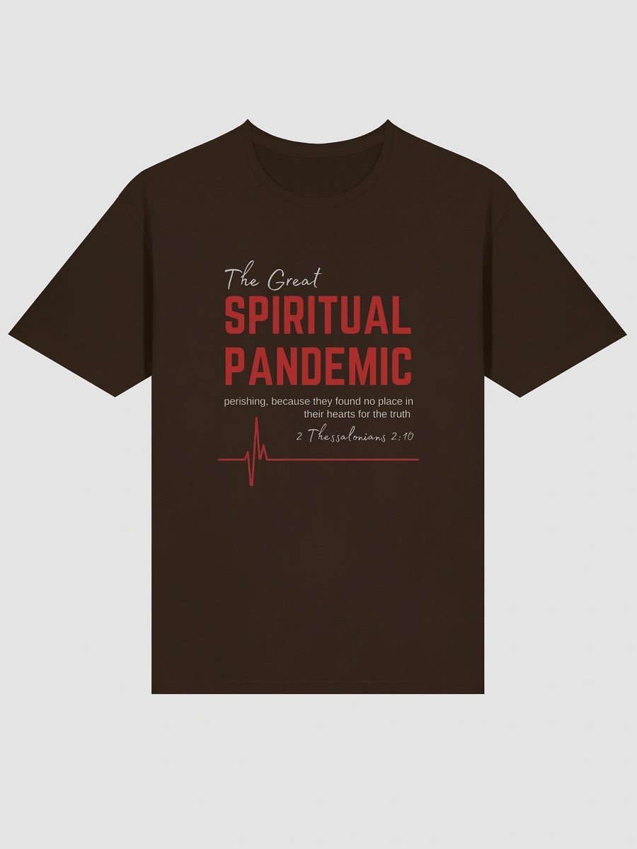 The Great Spiritual Pandemic Gilden Lightweight T-Shirt product image (3)
