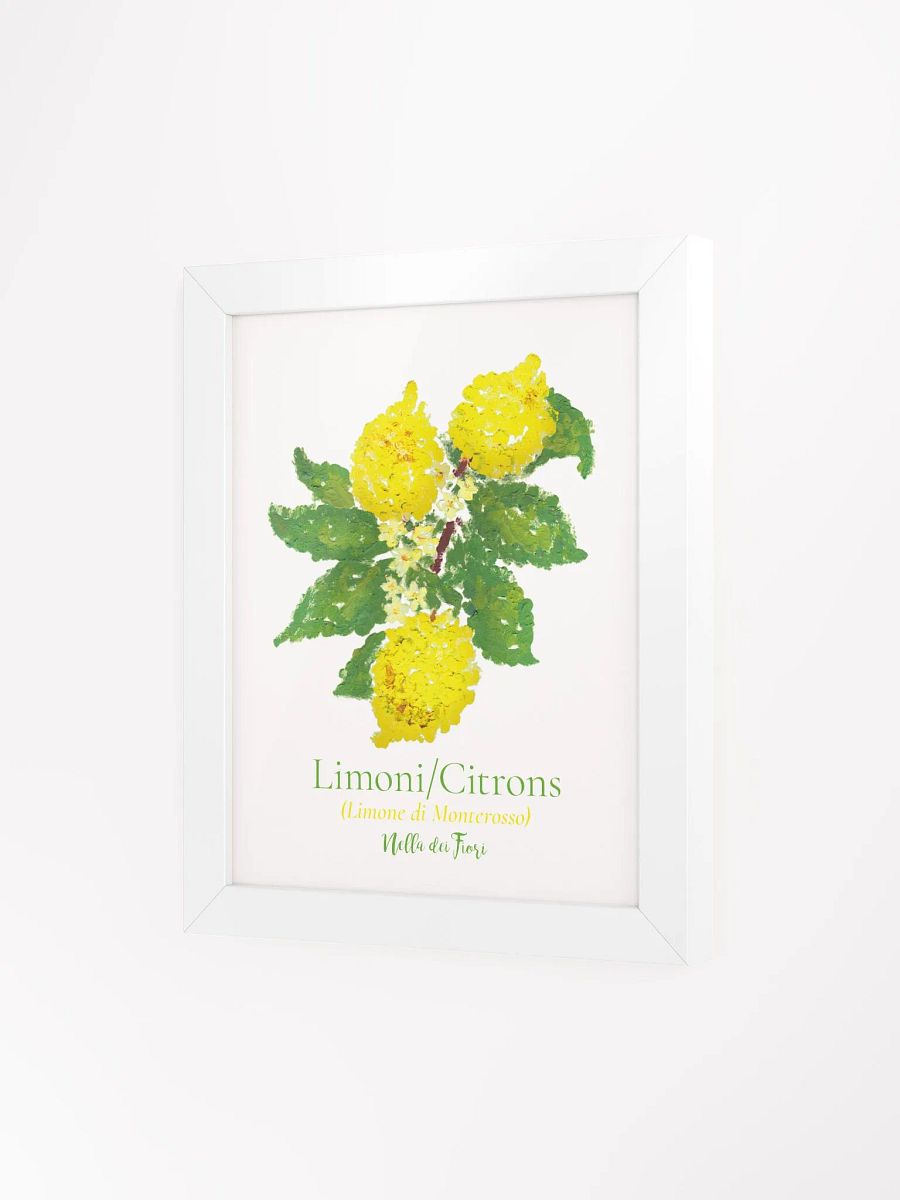 Limoni Botanicus Frame product image (9)