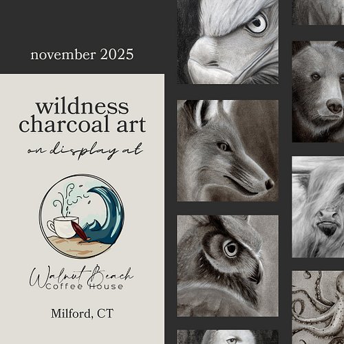 🌊☕️ I’m thrilled to be sharing that starting in early November, prints of my original charcoal drawings will be available for...