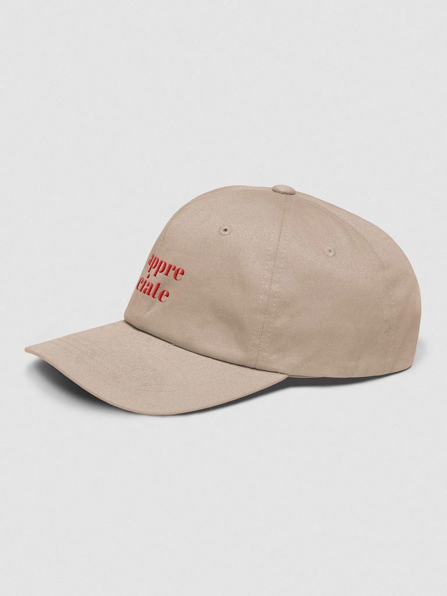 Classic Dad Hat product image (3)
