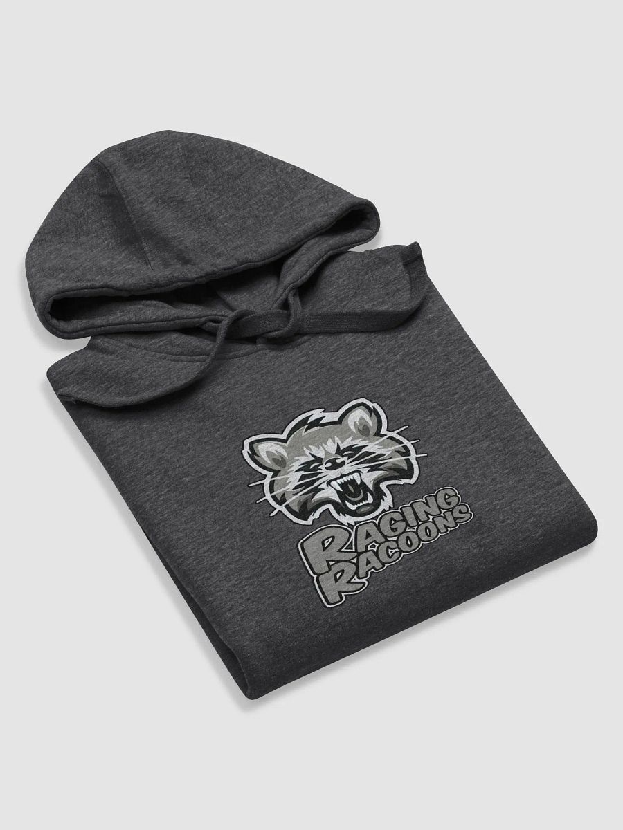 Raging Racoons Hoodie product image (72)