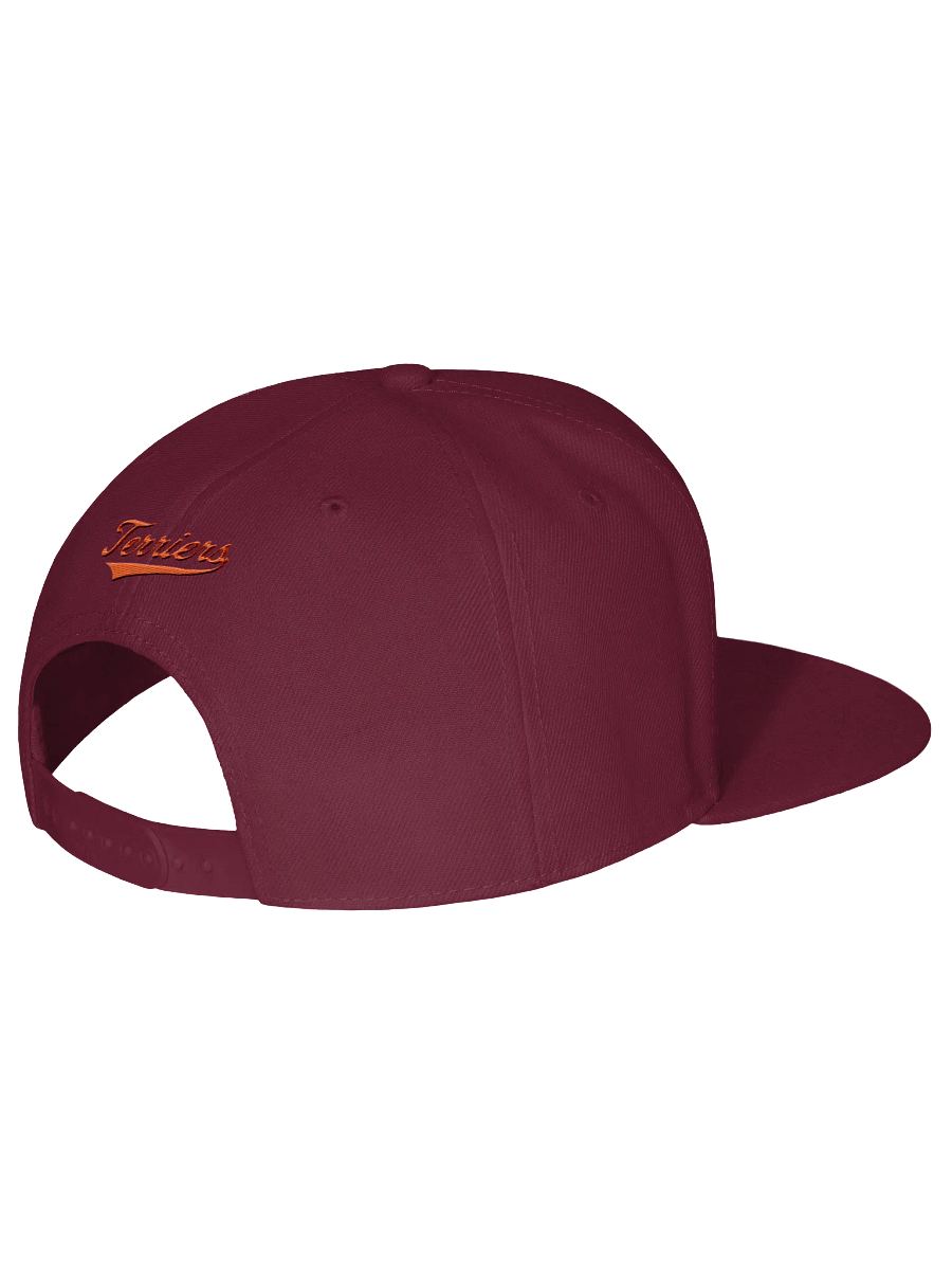 Galt Terriers Legacy Cap product image (15)