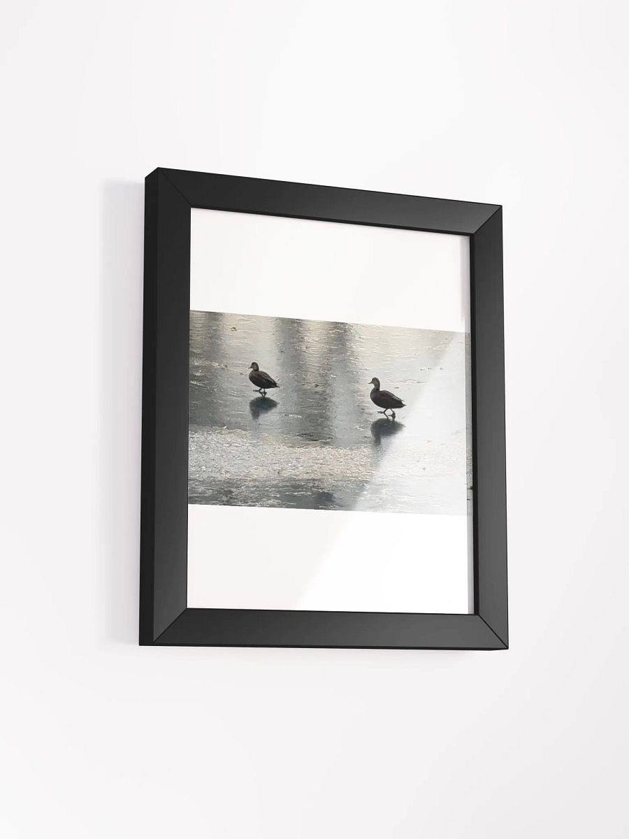 Ducks On Ice print product image (14)