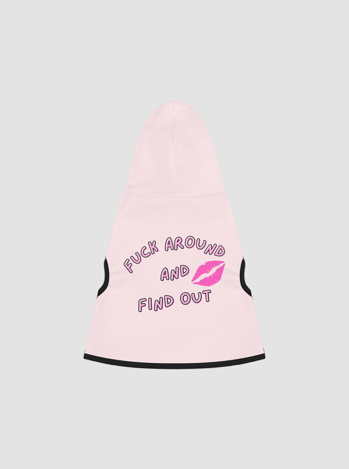 Fuck Around and Find Out - Dog Hoodie product image (1)