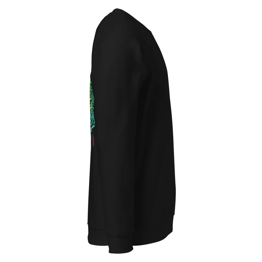 Eternal Wave Organic Raglan Sweatshirt product image (4)
