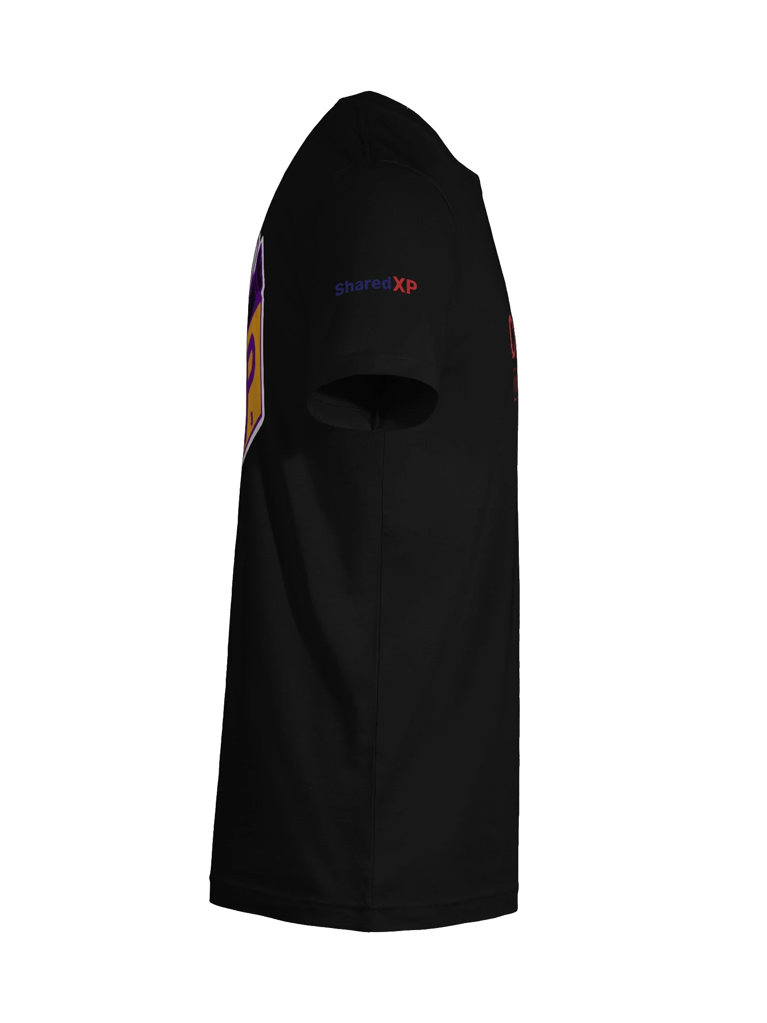 Chaos in Training T-Shirt product image (125)