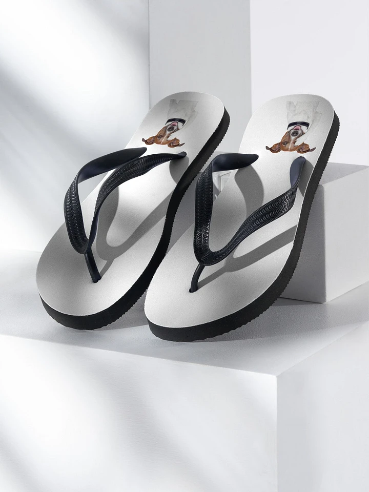 Chester Flip-Flops product image (1)