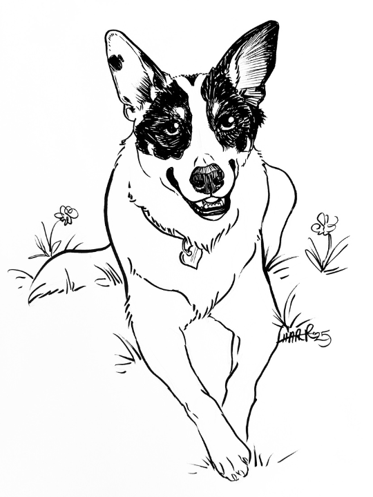 Black and White (B&W) Sketch product image (2)