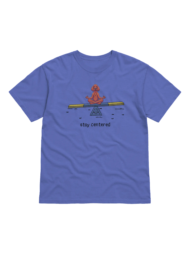 Stay Centered - Irish Setter Tee Shirt product image (1)